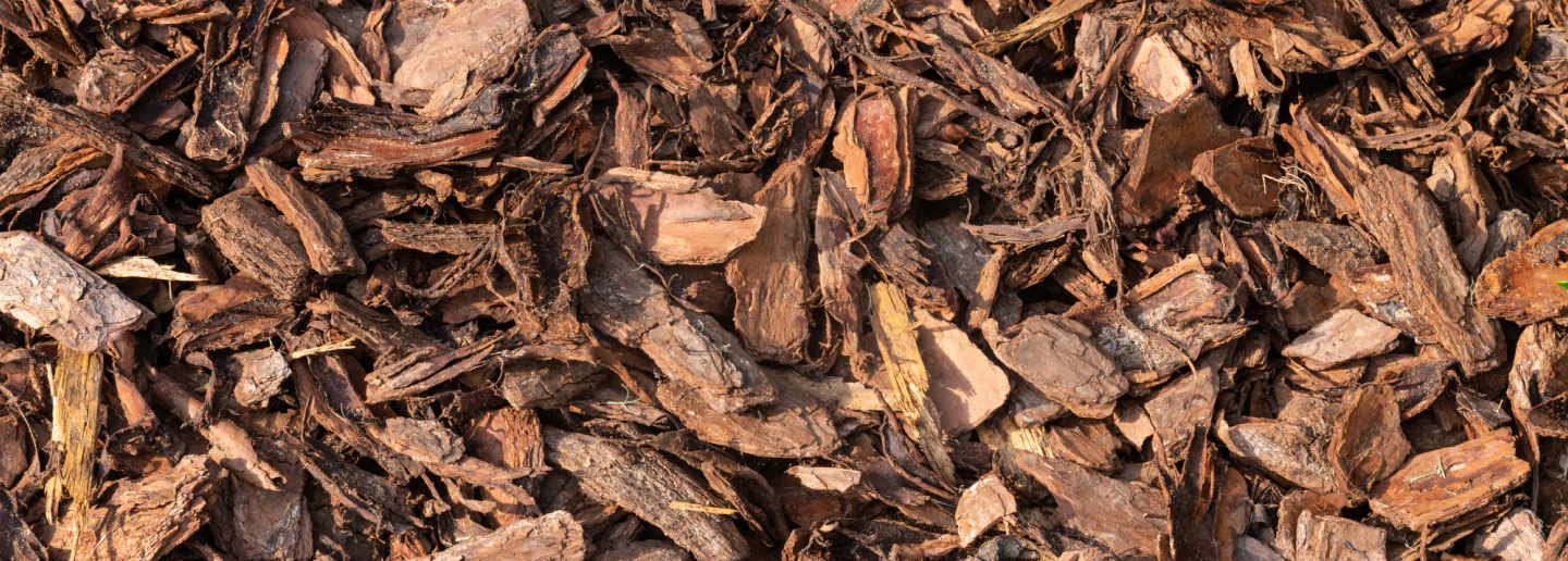 mulching leaves group closeup