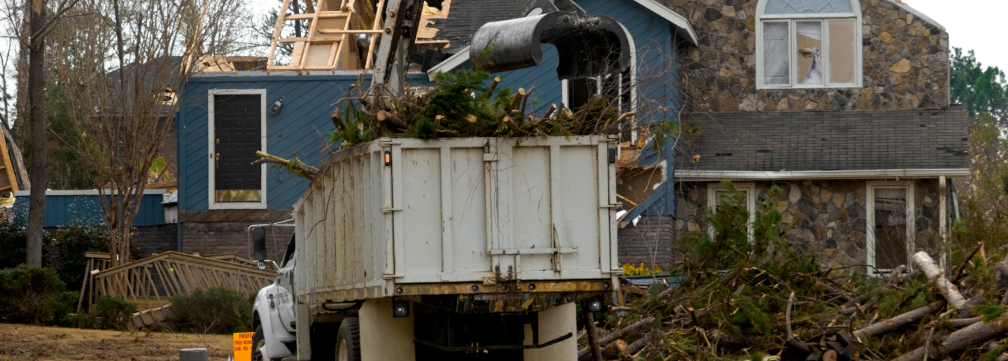 small tree removals on front of a blue house