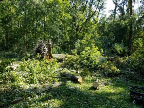 Storm Damage